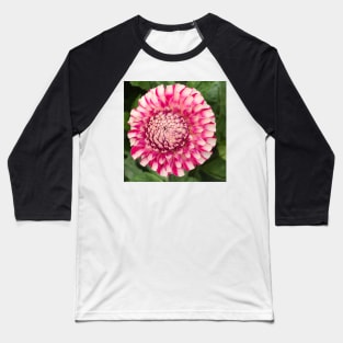 Dahlia my Dahlia Baseball T-Shirt